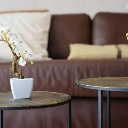 Apartment Studio Avec Terrasse Et Jardin Au Calme Cannes